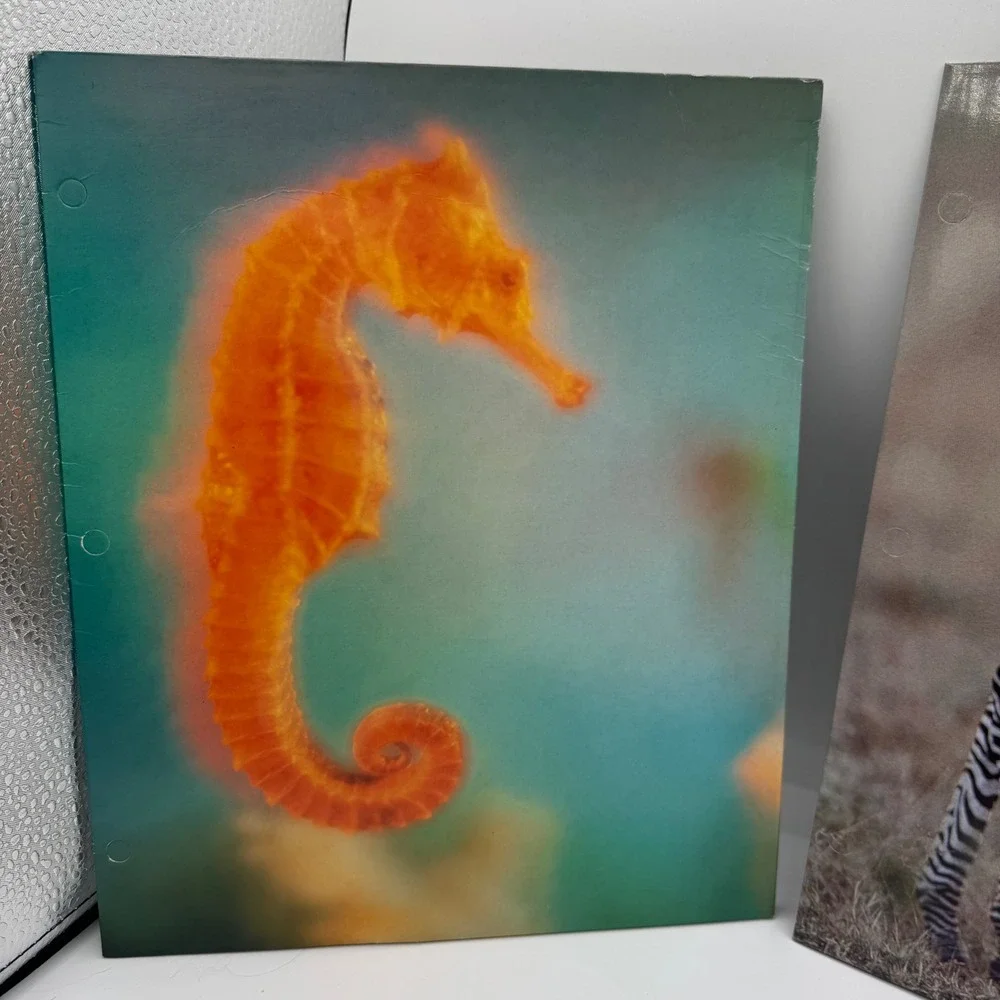 Vintage Norcom 2 Pocket Folders Set Seahorse and Zebra Animal School Supply
